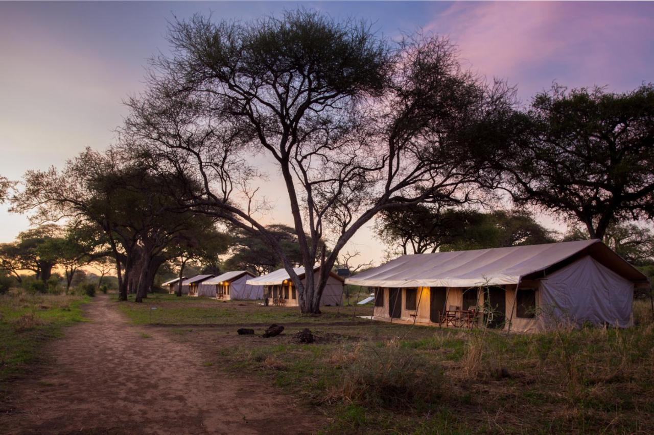Baobab Tented Camp Kwa Kuchinia Exteriör bild