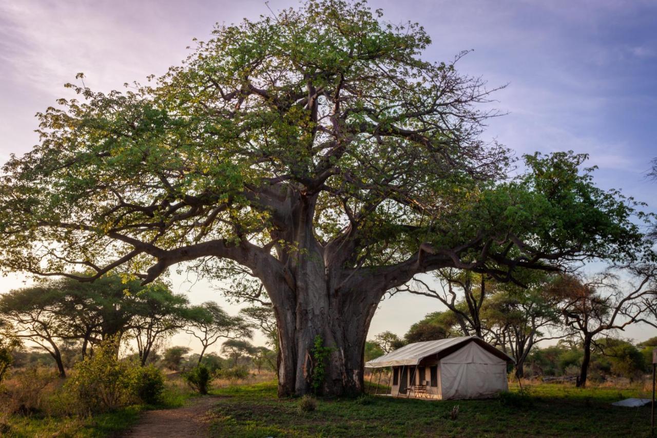 Baobab Tented Camp Kwa Kuchinia Exteriör bild