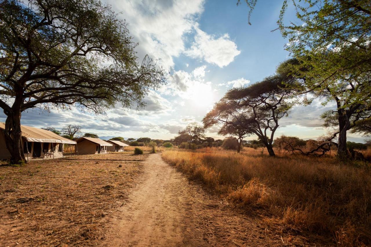 Baobab Tented Camp Kwa Kuchinia Exteriör bild