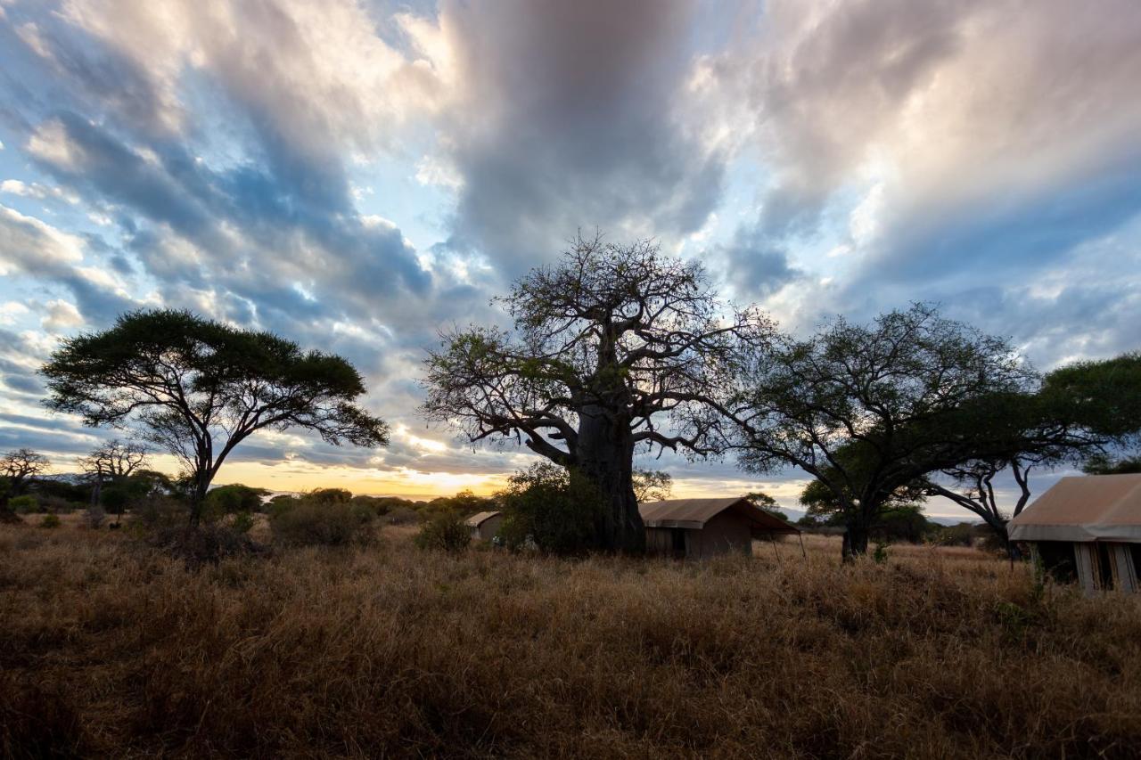 Baobab Tented Camp Kwa Kuchinia Exteriör bild